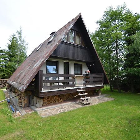 Nice Holiday Home In The Ore Mountains Only 500M From The Chairlift โลชนา โปด กลิโนฟเซม ภายนอก รูปภาพ